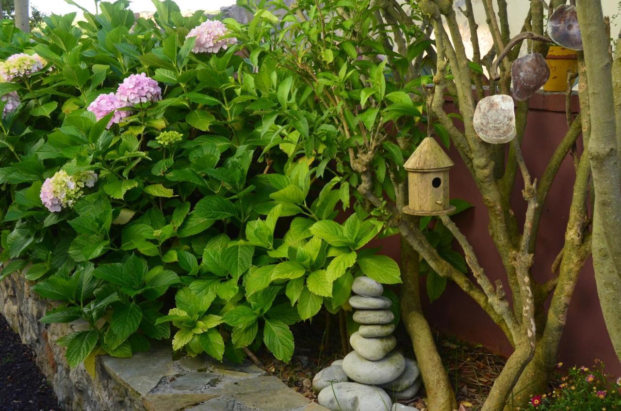 Gangu Apartamentos Turisticos Suances Luaran gambar