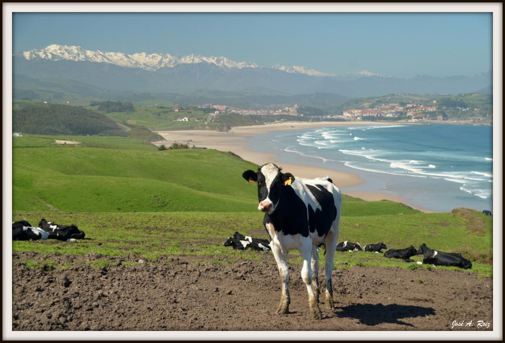 Gangu Apartamentos Turisticos Suances Luaran gambar